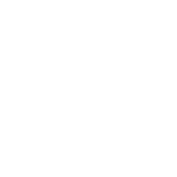 Digitaliza mi negocio